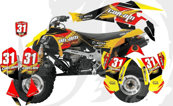 Can-Am DS 450 D21
