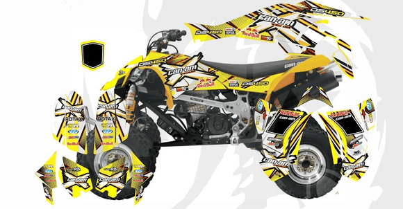 Can-Am DS 450 D6