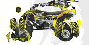 Can-Am DS 450 D8